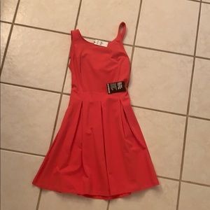 NWT Express Fit and Flare Dress